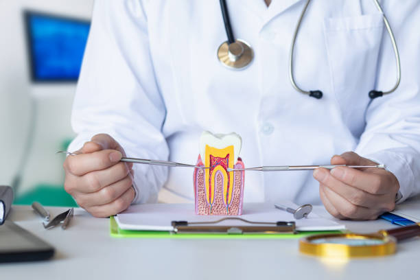Best Emergency Root Canal Treatment in Clay, AL